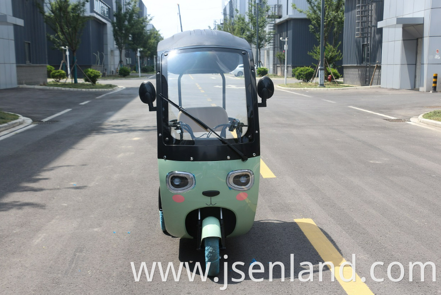 Electric Assist Tricycle